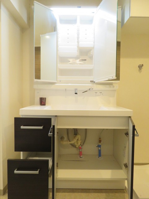 馬事公苑前ハイム　洗面化粧台