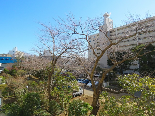 馬事公苑前ハイム　眺望