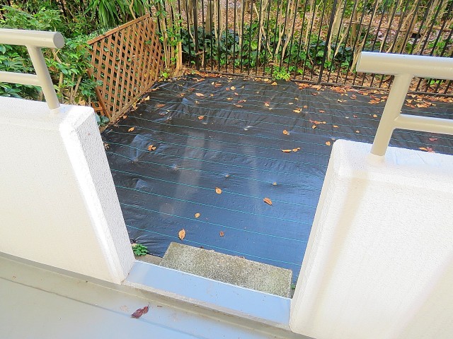 ルネ門前仲町　専用庭へ