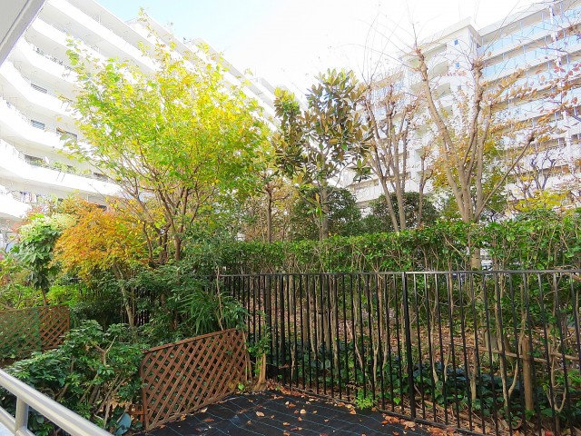 ルネ門前仲町　眺望