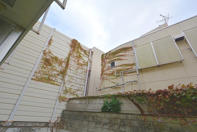 ライオンズマンション桜新町 専用庭