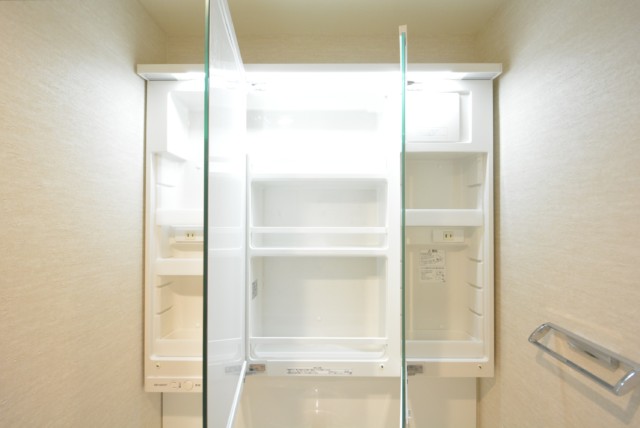 メガロン大森 洗面室