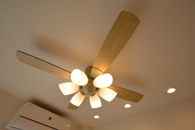 ライオンズマンション護国寺 LDK