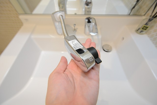 ライオンズマンション桜上水 洗面