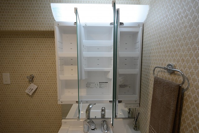 ライオンズマンション桜上水 洗面