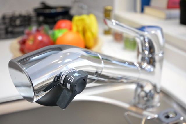 武蔵小山フラワーマンション キッチン