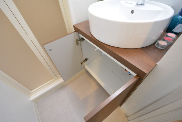 武蔵小山フラワーマンション 洗面室