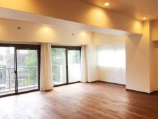 南青山リハイム LD