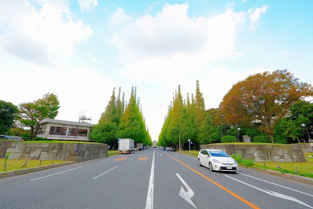 外苑前 イチョウ並木