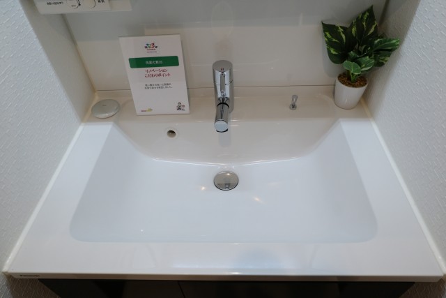 飯田橋第一パークファミリア 洗面室