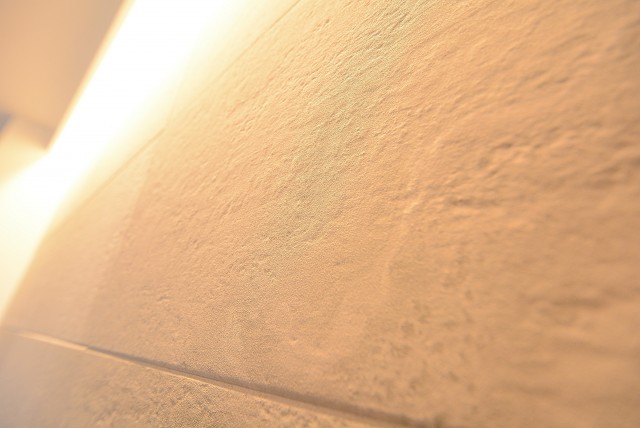 藤和目黒ホームズ 洋室10.0