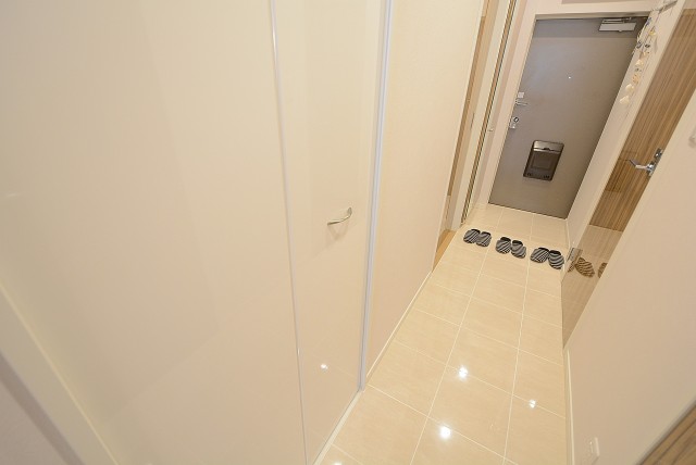 グリーンヒル新宿 (49)廊下収納