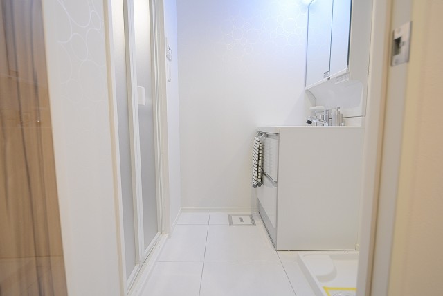 グリーンヒル新宿 洗面