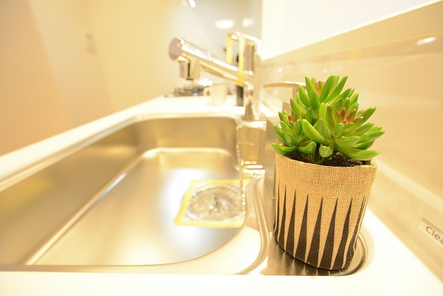 グリーンヒル新宿 キッチン