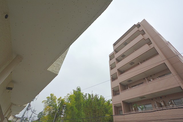 ライオンズマンション桜上水 バルコニー