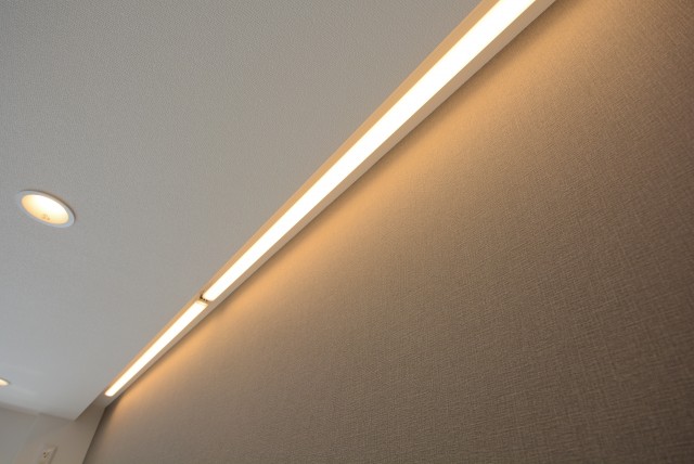 グリーンヒル新宿 リビング