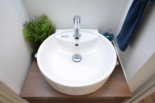 武蔵小山フラワーマンション 洗面室