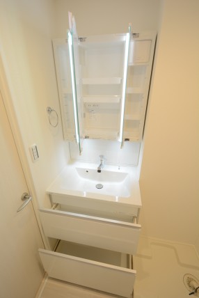 グリーンヒル新宿 洗面室