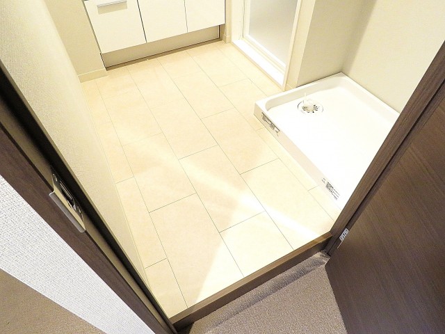 ファミリータウン東陽　洗面室扉