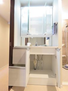 ファミリータウン東陽　洗面化粧台