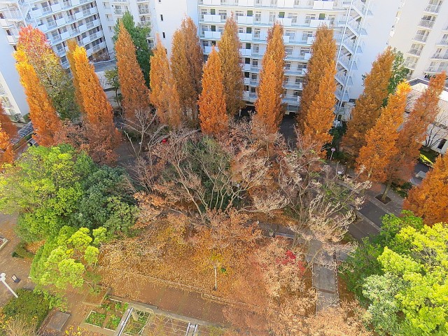 ファミリータウン東陽　眺望