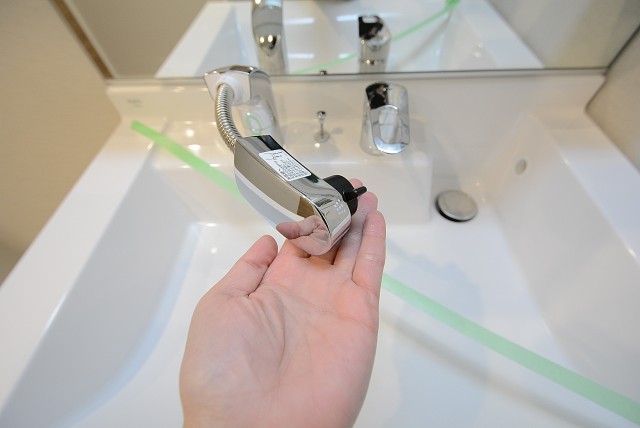 ライオンズマンション桜上水 洗面