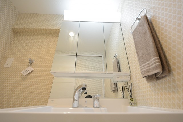 ライオンズマンション桜上水 洗面