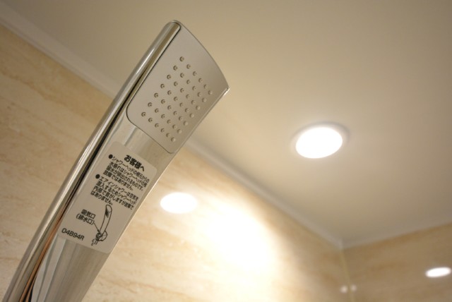 ライオンズマンション護国寺 浴室