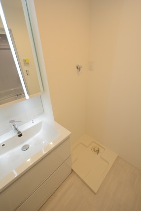 グリーンヒル新宿 洗面室