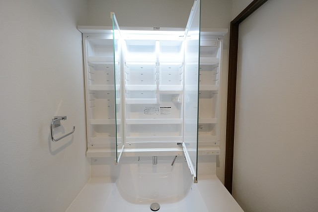 藤和目黒ホームズ 洗面