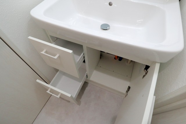 ライオンズマンション大森 洗面