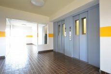 シティコープ豊洲 外廊下