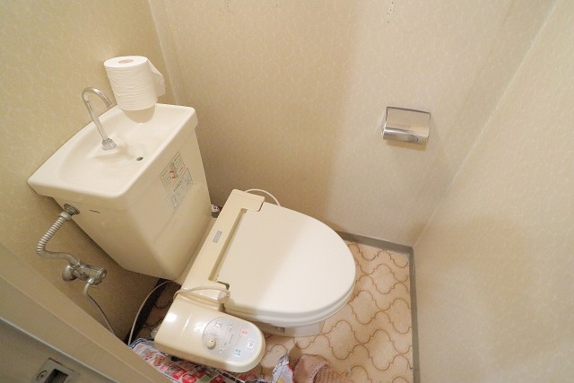 五反田サニーフラット トイレ