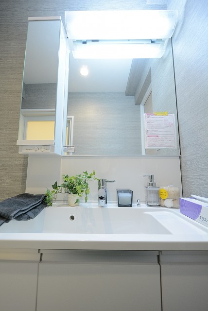日興パレス文京 洗面