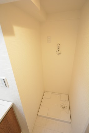 ハイネス大久保 洗面室