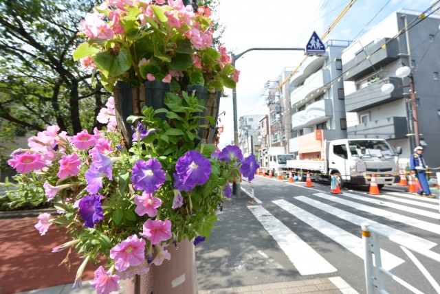 ライオンズシティ渋谷本町 周辺