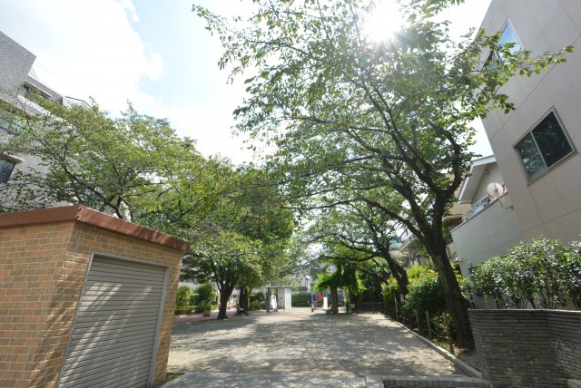 ライオンズシティ渋谷本町 周辺