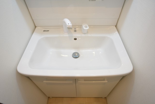 シャトレ市ヶ谷 洗面室