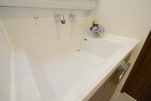 オリエンタル新大塚コーポラス 洗面