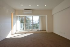 上野毛ハイム バルコニー 上野毛ハイム バルコニー