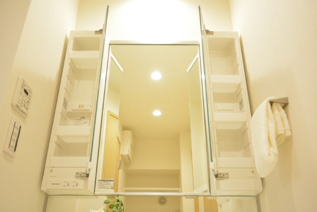 ソフトタウン池袋 (34)ソフトタウン池袋 洗面室