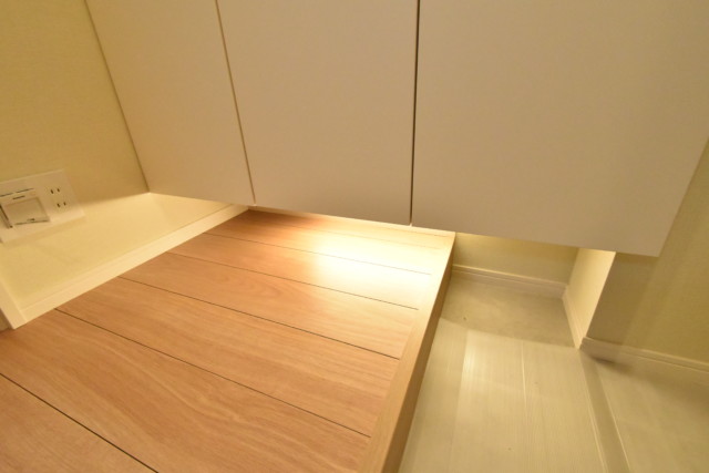 メゾンドール高田馬場 玄関