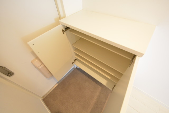 山王スカイマンション 玄関