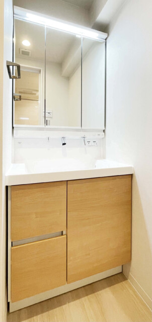 入谷アムフラット 洗面室