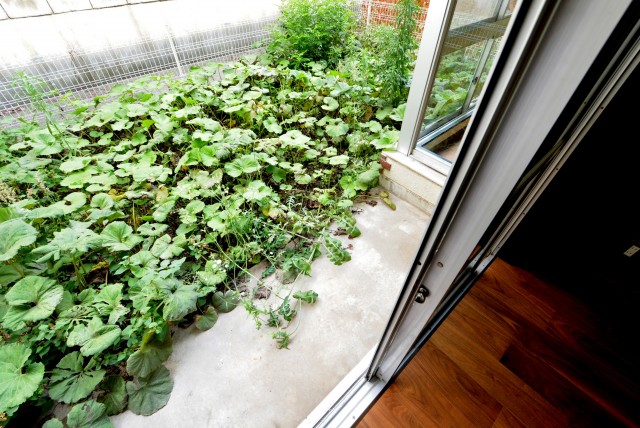 ライオンズマンション桜新町 庭