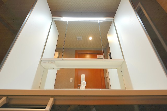 青山ザ・タワー 洗面