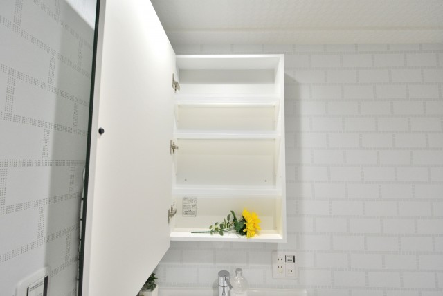 秀和代官山レジデンス (67)洗面台