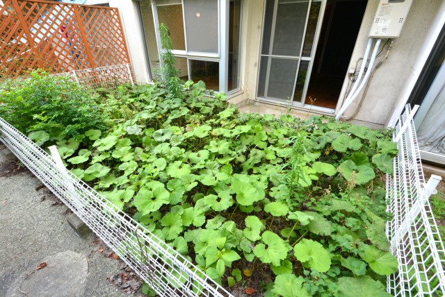 ライオンズマンション桜新町 庭