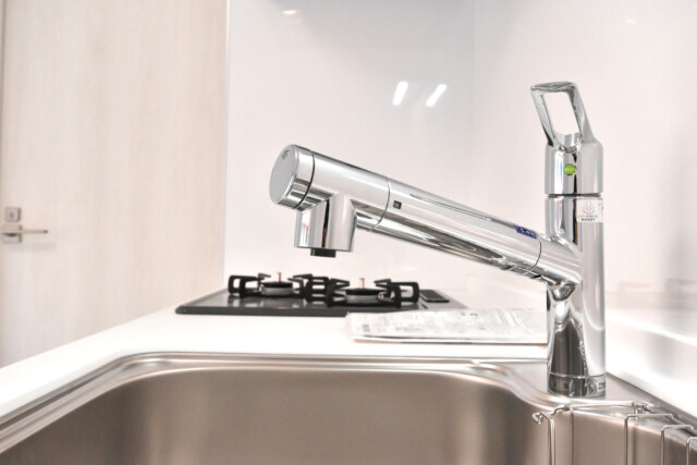 ハイネス小石川 K