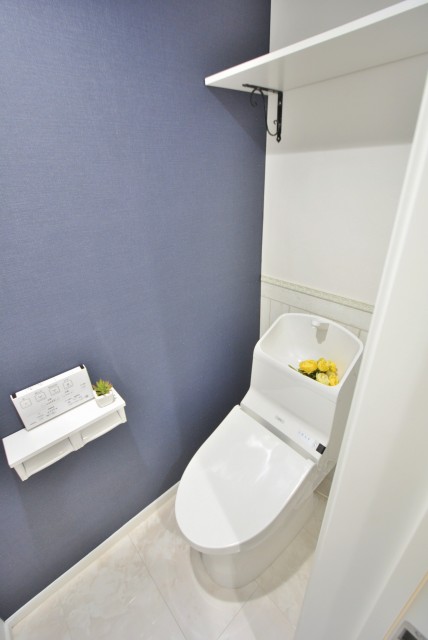 秀和代官山レジデンス (73)トイレ